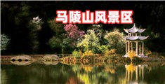干干干干干网站上