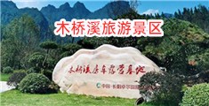 干你逼网